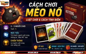 Cách chơi bài mèo nổ và mẹo chiến thắng